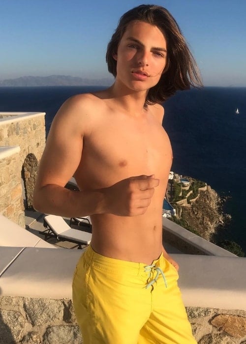 Damian Hurley as seen while showing off his enviable physique in a shirtless picture in July 2018