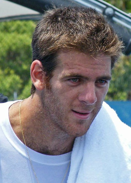 Juan Martín del Potro as seen in January 2011