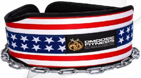 DMoose Fitness Premium Dip Belt Review
