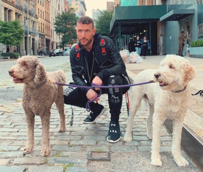 Don Diablo with his dogs as seen in September 2019