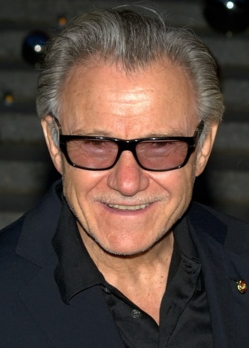 Harvey Keitel as seen in a picture taken at the 2010 Tribeca Film Festival