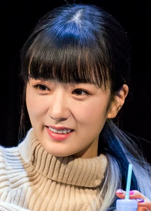 Yoon Bo-mi as seen in a picture taken at an 'Apink' fan meeting in Sangam, Seoul, South Korea in January 2019
