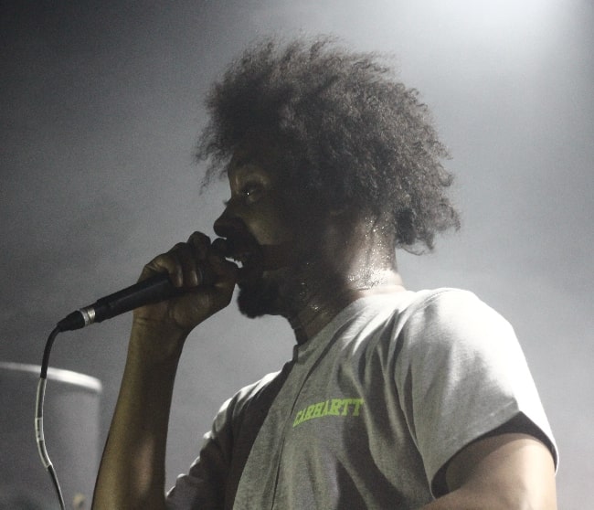 Danny Brown as seen while performing during an event in 2014