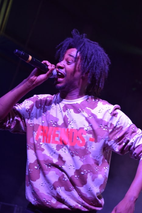 Danny Brown as seen while performing during an event in September 2016