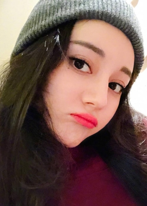 Dilraba Dilmurat as seen in a selfie taken in February 2018