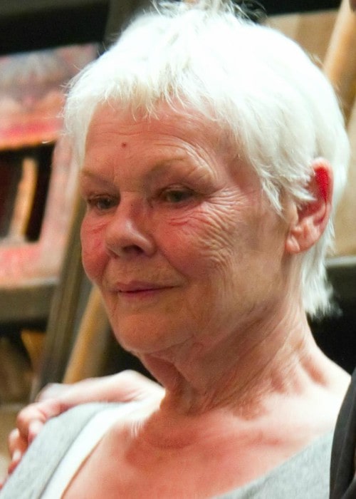 Judi Dench as seen in September 2014