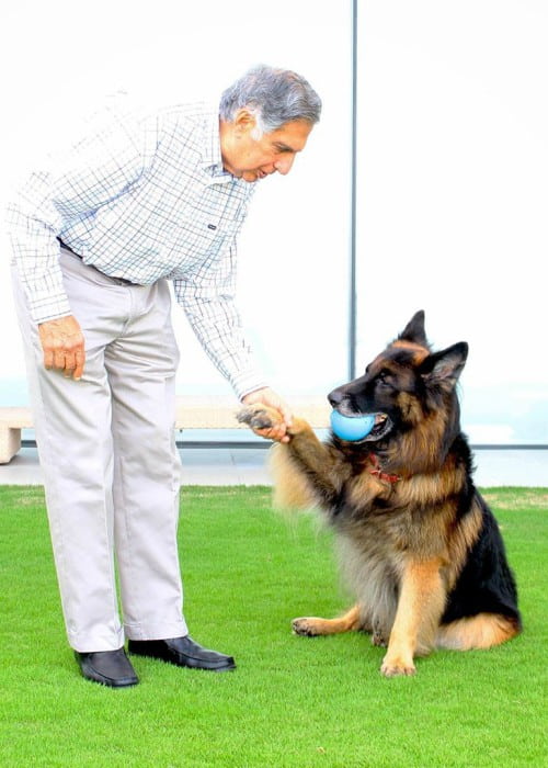 Ratan Tata with his dog