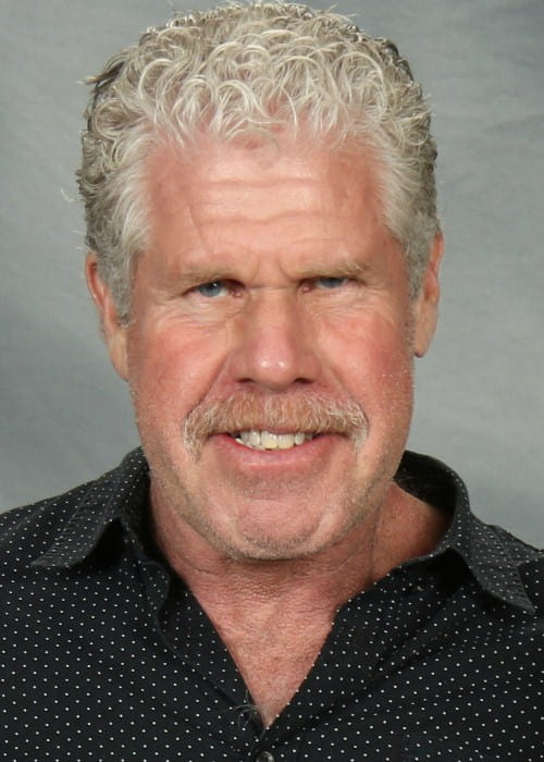 Ron Perlman at Paradise City Comic Con in December 2016