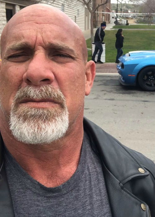 Bill Goldberg Height, Weight, Age, Body Statistics - Healthy Celeb