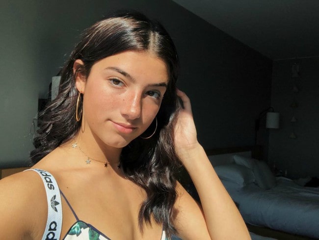 Charli DAmelio Height Weight Age Body Statistics Healthy C