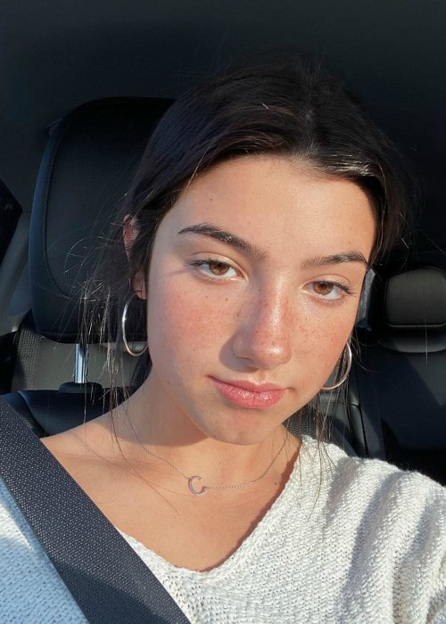Charli D'Amelio in an Instagram selfie as seen in November 2019