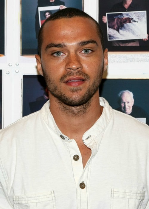 Jesse Williams as seen in 2008