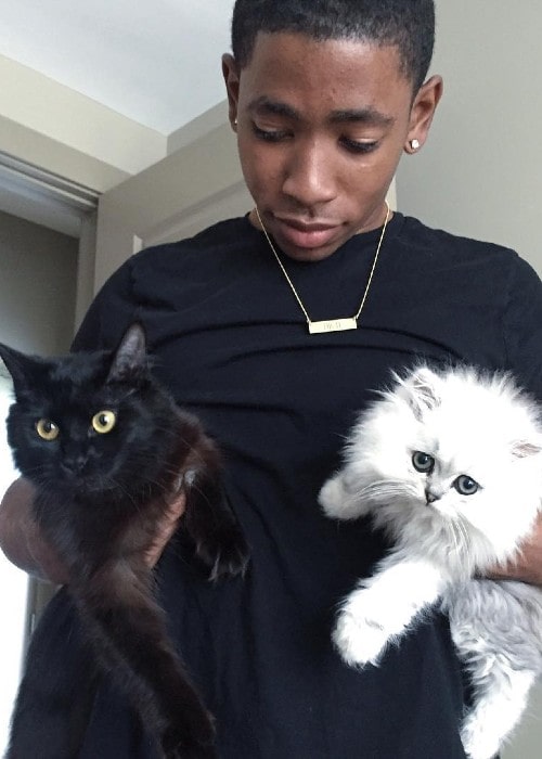 Ken Walker with his cats as seen in June 2016