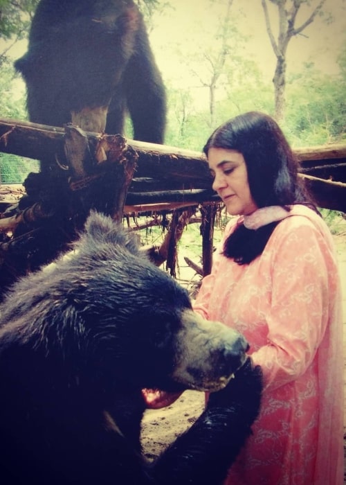 Maneka Gandhi as seen in a picture that was taken at Wildlife SOS in the past