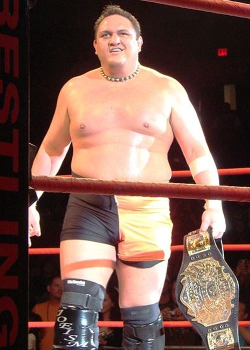 Samoa Joe as seen in June 2008