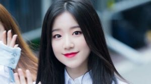 Ye Shuhua