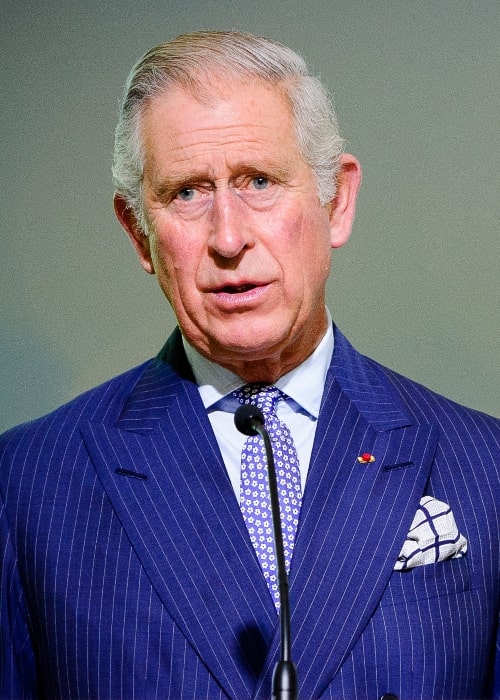Charles, Prince of Wales as seen while speaking at the 2015 United Nation Climate Change Conference