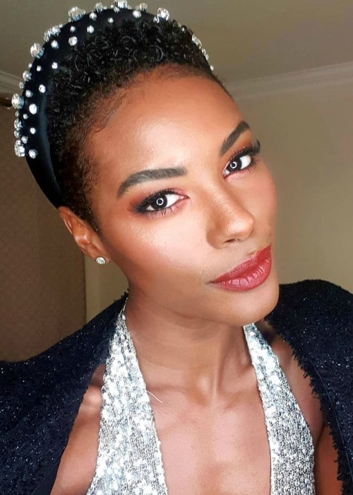 Sharam Diniz in an Instagram post as seen in December 2019