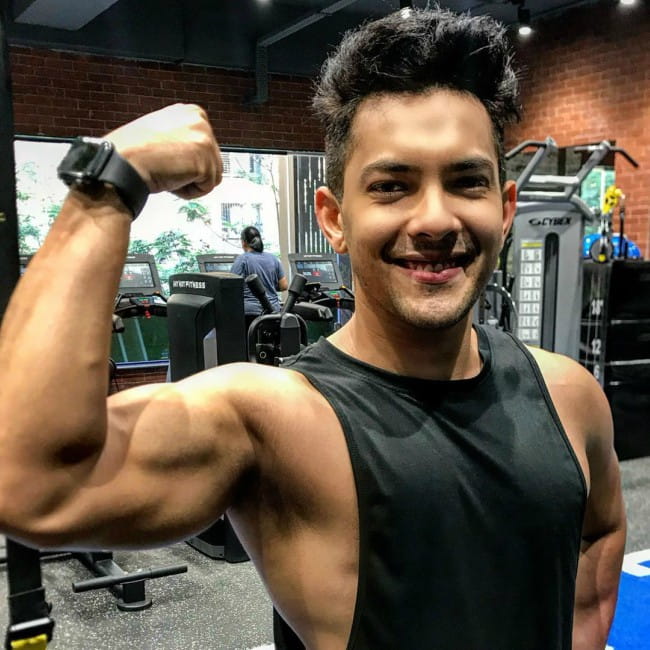 Aditya Narayan in an Instagram post as seen in January 2020