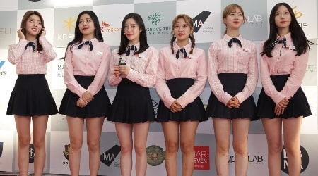 Berry Good Members, Tour, Information, Facts
