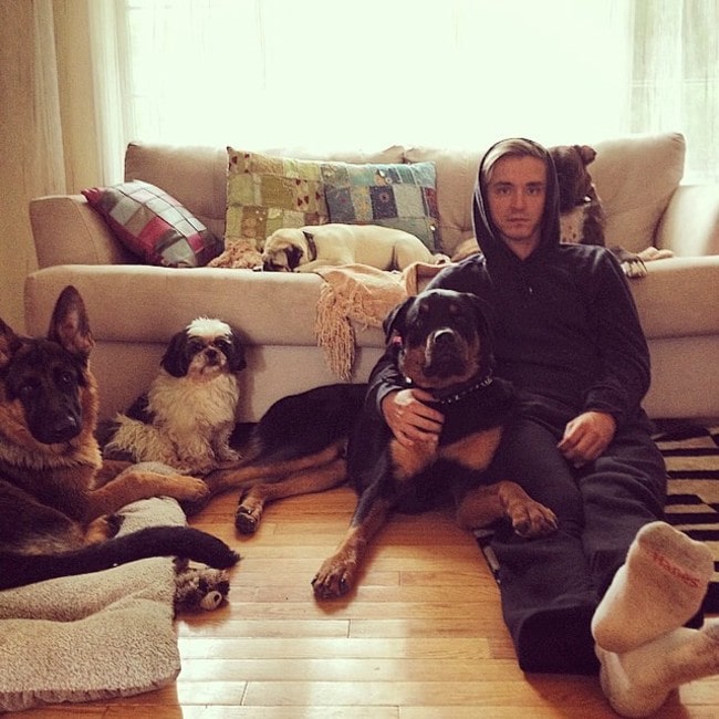 Mark Spicoluk with his dogs as seen in September 2014