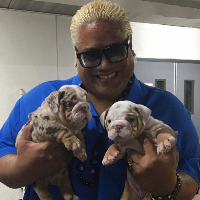 Rikishi with some puppies as seen in December 2019