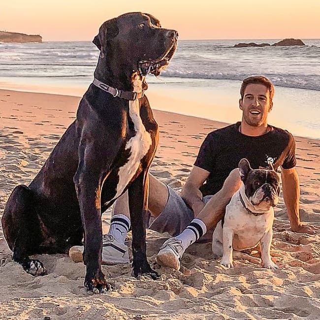António Félix da Costa with his dogs as seen in March 2019