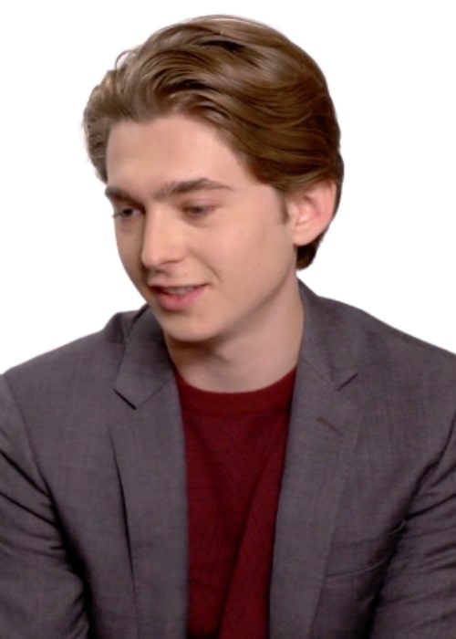 Austin Abrams as seen during an interview in January 2018