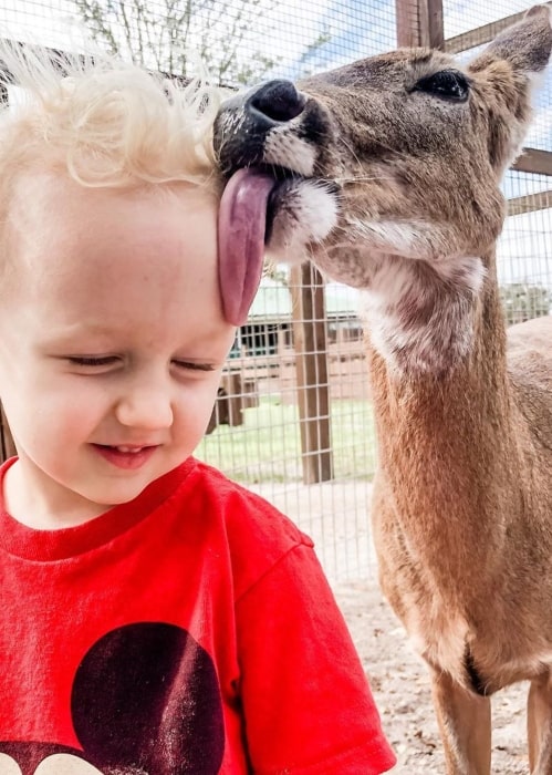 Duncan Ballinger being kissed and cuddled by a friendly deer in Westgate River Ranch Resort & Rodeo in February 2020