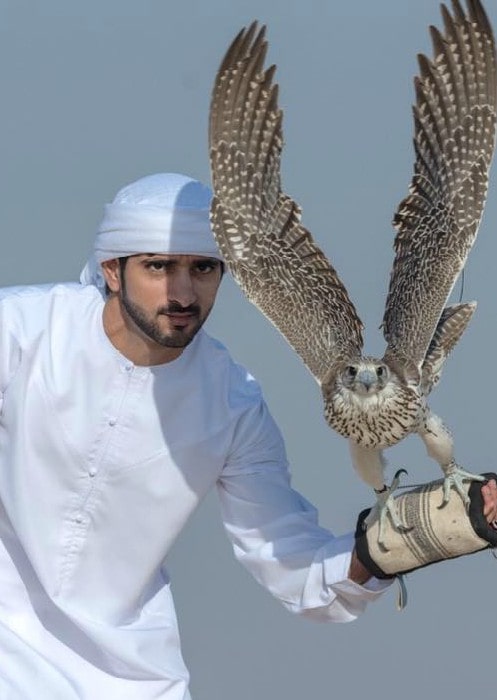 Fazza with a Falcon in November 14 2017