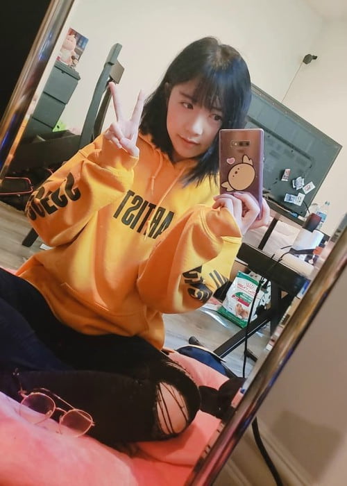 LilyPichu in a selfie in October 2019