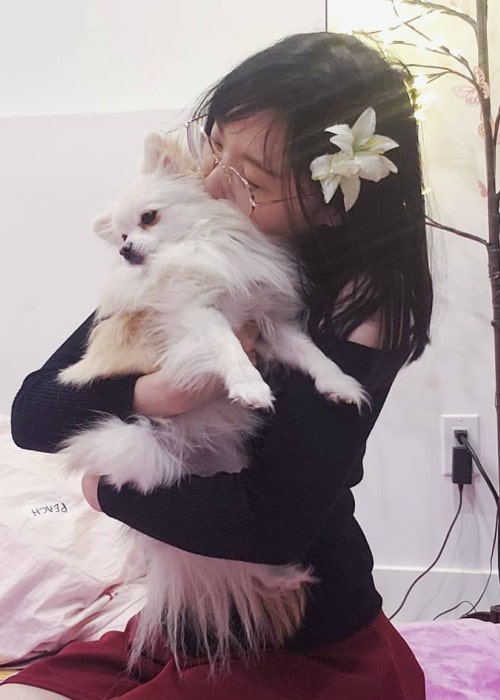 LilyPichu with her dog as seen in January 2020