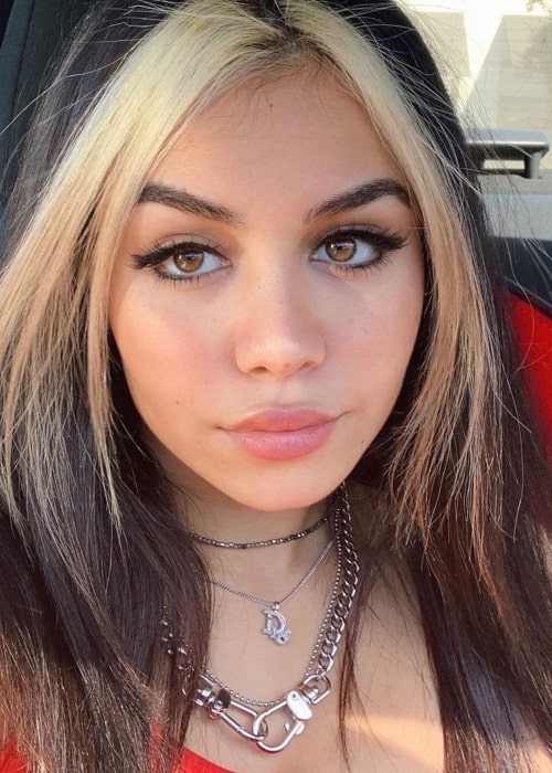 Tarayummy Net Worth CelebNetWorth   Tara Yummy As Seen In A Selfie Taken In Ocober 2019 