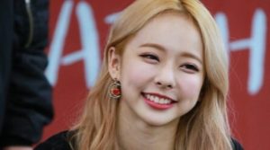 ViVi