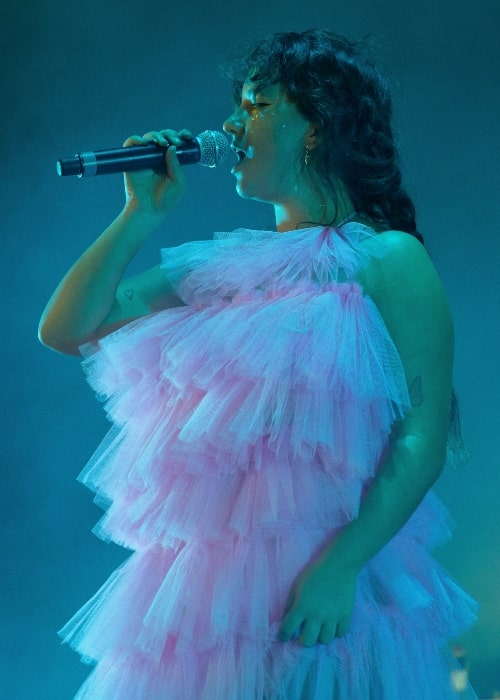 Mallrat as seen in a picture taken during a performance of hers in December 2018