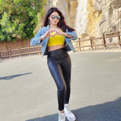 Sherlyn Chopra Height, Weight, Age, Boyfriend, Family, Biography