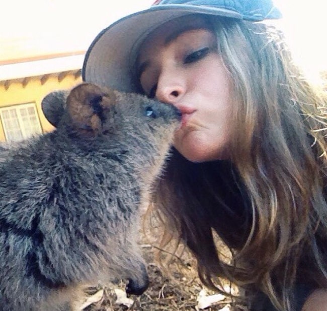 Ashleigh Cummings happy to be kissed by a quokka on Valentine's Day in 2016