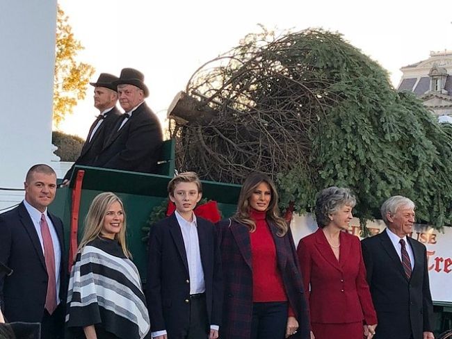 Barron Trump seen posing near the Wisconsin-grown White House Christmas tree in 2017