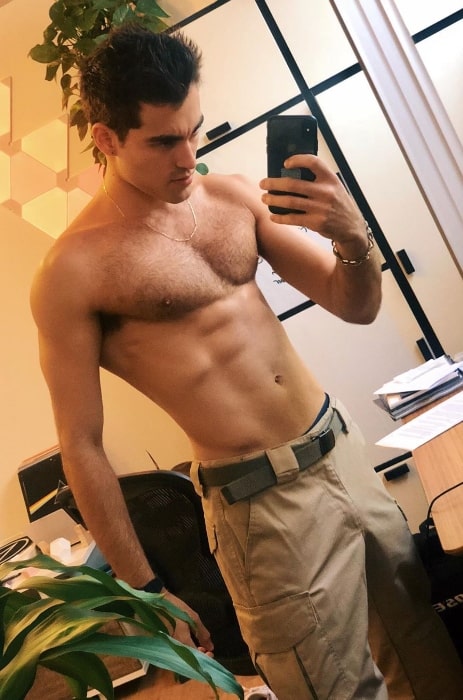 Blake Michael as seen while showing his toned physique in a shirtless mirror selfie
