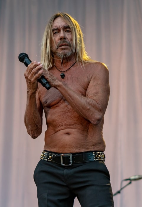 Iggy Pop performing in August 2018