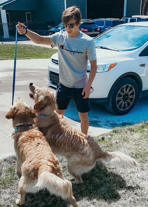 Chase Matthew as seen in a picture taken while playing with his dogs in April 2020