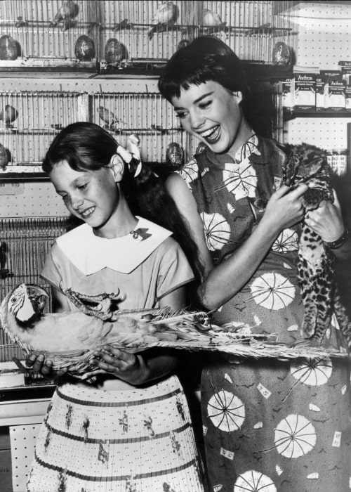  Natalie Wood (à droite) avec sa sœur cadette Lana Wood en 1956 