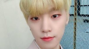 Dino