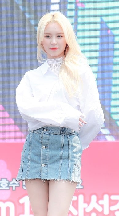 Elkie Chong as seen at an event in 2017