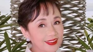 Vilma Santos