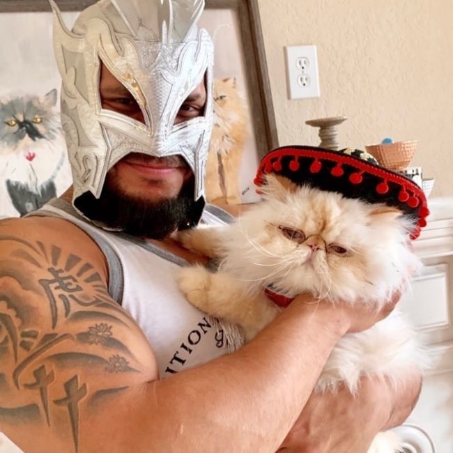 Kalisto as seen in a picture that was taken with his cat in June 2020