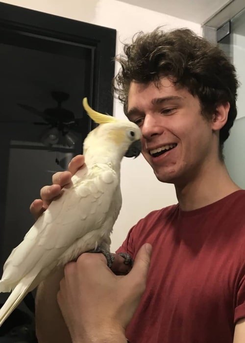 Eret as seen in a picture that was taken with a white cockatoo in October 2020