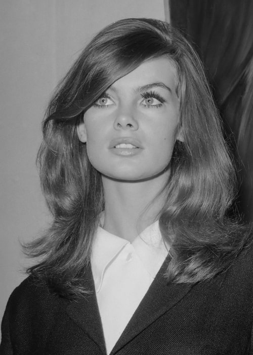 Jean Shrimpton as seen in a picture that was taken at the opening on September 17, 1965 of an exhibition at the Galerie Krikhaar in Amsterdam