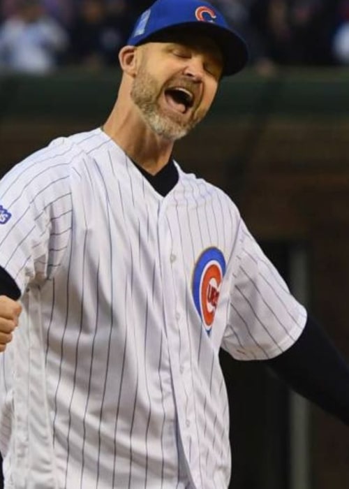 David Ross career stats, height and weight, age