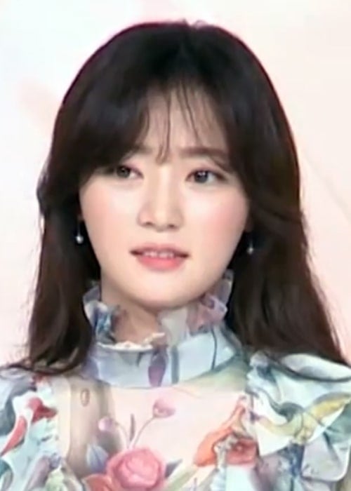 Song Ha-yoon in 2017